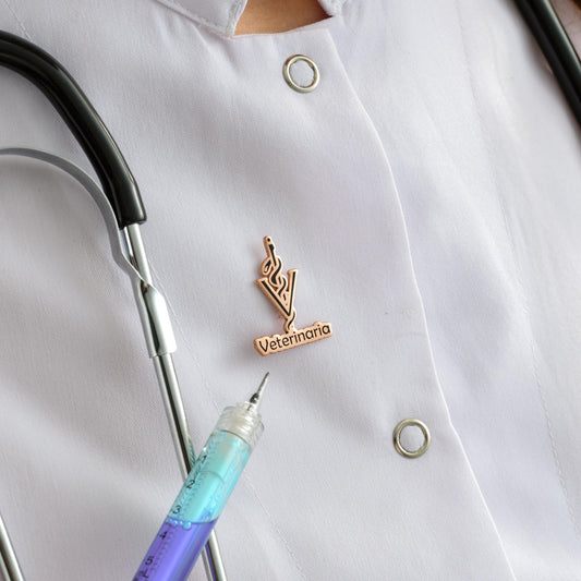 Personalized Veterinarian Brooch: Silver Vet Lapel Pin, Animal Doctor Gift